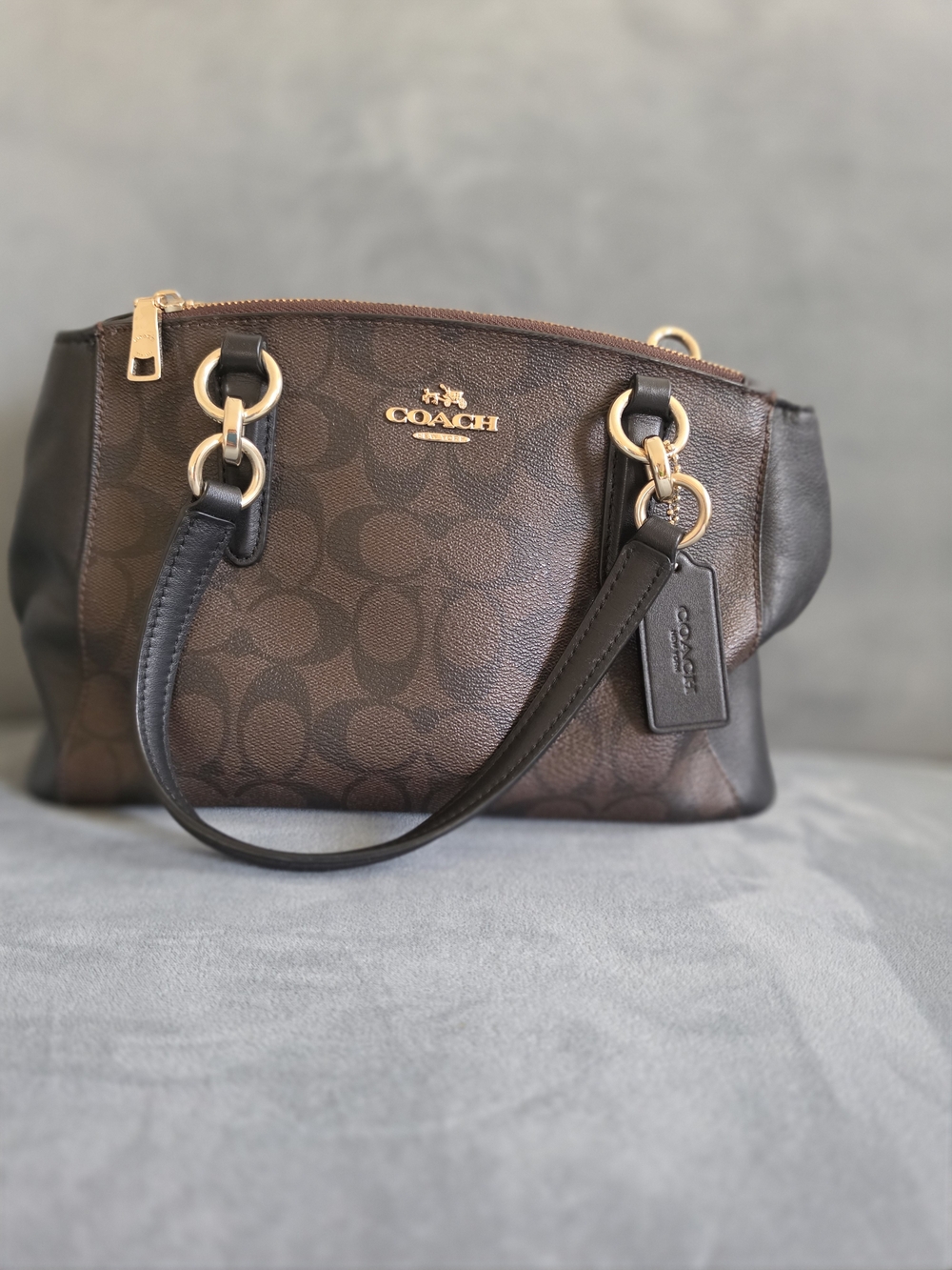 Coach Minie Christie Carryall Signature Canvass